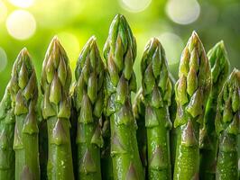 Fresh asparagus spears stand upright their textured tips in focus. vibrant green contrasts white background highlighting their natural beauty and freshness photo