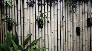 Natural Bamboo Wall with Green Tropical Plants and Orchids Creating a Rustic and Organic Garden Ambience photo