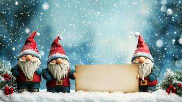 Festive Gnomes with Blank Sign photo