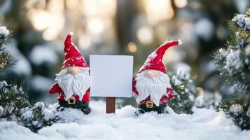Gnomes with Blank Sign and Snow photo