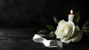 Photo display featuring ribbon, white rose