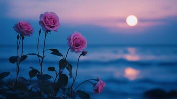 Moonlit Roses by the Sea environment photo