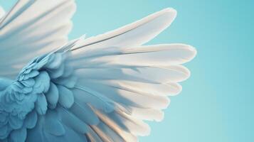 A close-up of a bird's feathers photo on a blue background