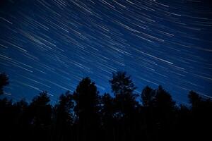 Star trails vividly illuminate the night sky above a silhouette of tall trees in a serene forest setting. The clear evening enhances the stunning display of celestial movement. photo