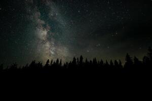 A breathtaking view features a forest silhouette against a clear night sky, showcasing countless stars and the Milky Way stretching across the horizon, creating a serene atmosphere. photo