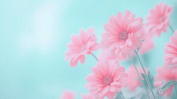 Dreamy Pink Flowers in Soft Pastel Background, Floral Photography, Landscape in 16-9 Aspect Ratio, Elegant Blossoms for Nature Lovers and Romantic Decor, Delicate Petals, Tranquil Aesthetic Background photo