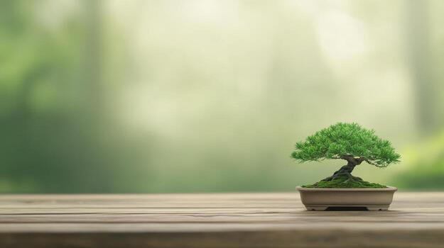 Bonsai Tree on Wooden Table in Serene Garden Setting with Greenery and Soft Focus Background photo