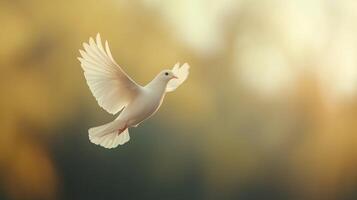 Elegant White Dove in Flight Against Soft Golden Background Capturing Peace and Hope in Slow Motion Ethereal Imagery for Inspirational and Tranquil Concepts Nature and Faith Symbolism photo