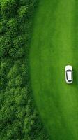 Aerial View of White Car on Lush Green Field Surrounded by Dense Forest, Minimalist Landscape Design for Travel and Nature Themes photo