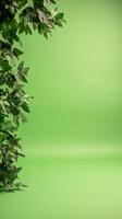 Vibrant Green Screen with Lush Foliage for Environmental Awareness and Eco-Friendly Designs photo