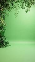 Lush Green Screen Backdrop With Foliage for Kids TV Show Perfect for Inserting Creative Graphics photo
