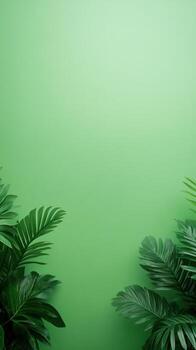 Green Screen Backdrop for Travel Show with Seamless Design Featuring Lush Tropical Foliage for Creative Visuals and Broadcast Productions photo