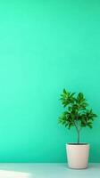 Green Screen Interior Design with Potted Plant in Minimalist Style for Modern Spaces and Virtual Backgrounds photo