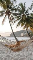 Ginger cat lounges in hammock on serene beach, surrounded by palm trees and ocean. Vertical Mobile Wallpaper photo