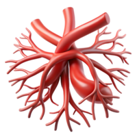 3D Render of Red Branching Structure png