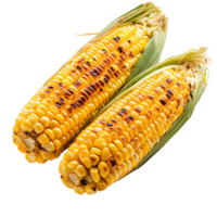 Grilled Corn on White Background on transparent background. png