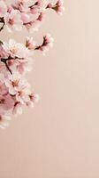A light, minimalist arrangement of pale pink cherry blossoms on a beige background allows room for text. photo