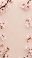 The pale pink cherry blossoms arranged on a beige background provide a delicate, minimalist pattern, with space for text. photo