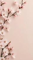 A soft and minimalist pattern of cherry blossoms in pale pink on a beige background, with ample open space for text. photo