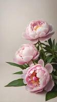 Against a soft, neutral linen backdrop, pink peonies are arranged, leaving plenty of copy space in the center. photo