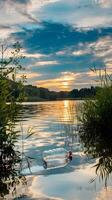Crushed plastic bottle floats in serene lakeside sunset scene, reflecting golden hues Vertical Mobile Wallpaper photo