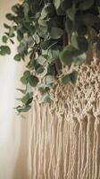 Eucalyptus and Macrame Wall Hanging Decor photo