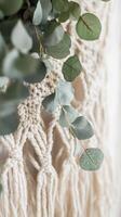 Delicate Eucalyptus and Macrame Wall Decor photo