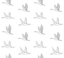 Seamless pattern of hand drawn doodle sketch flying crane bird vector