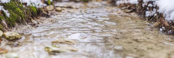 Tranquil stream with rippling water and mossy banks in natural surroundings photo