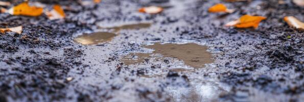 Autumn leaves on wet muddy ground with reflections in puddle surface photo