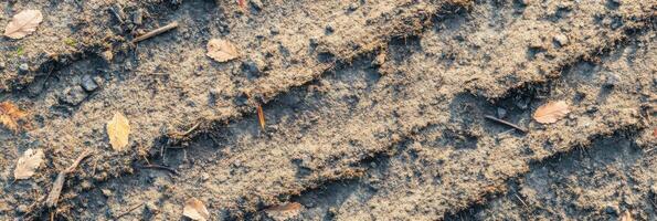 Close-up of soil with tire tracks and fallen autumn leaves creating natural texture photo