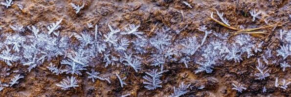 Frost-covered ground with intricate ice crystal patterns reflecting winter photo