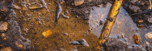 Mud and water with wood and rocks in a natural outdoor setting photo