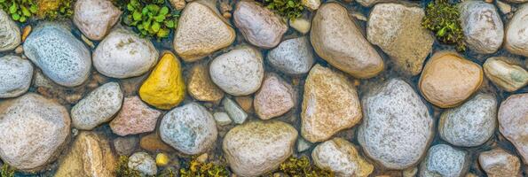 Wet river stones with moss and water highlighting nature's diversity photo