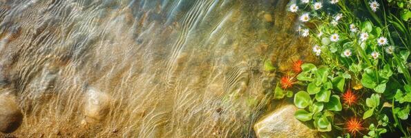 Vibrant flowers and stones along a tranquil riverbank with flowing water photo