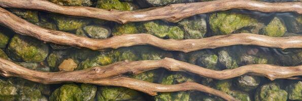 Wooden branches resting on mossy green rocks in clear water photo