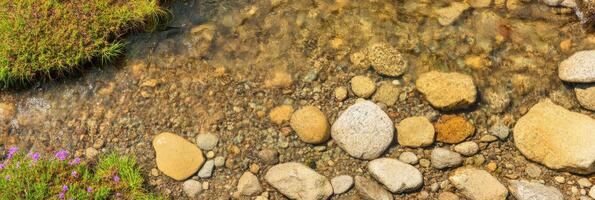 Tranquil stream with colorful stones and lush riverbank vegetation photo