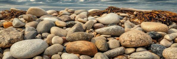 Rocky shoreline with seaweed under cloudy sky by the ocean water photo