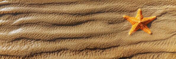 Orange starfish on rippling sandy beach background in bright sunlight photo
