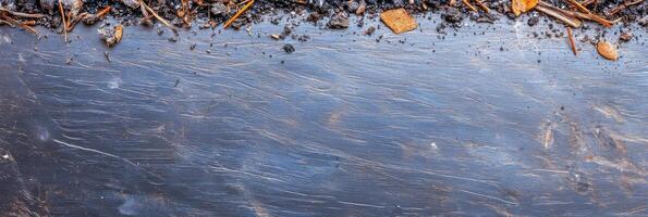 Textured earth and stone surface with organic debris and pine needles photo