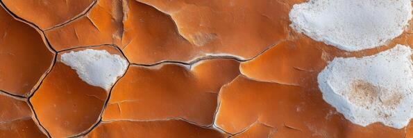 Cracked drought-affected red earth with white alkaline deposits texture photo
