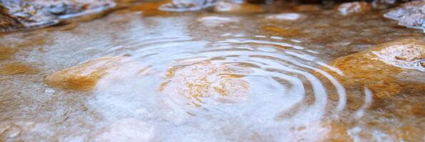Ripples on water surface with stones in natural setting, texture and calm theme photo