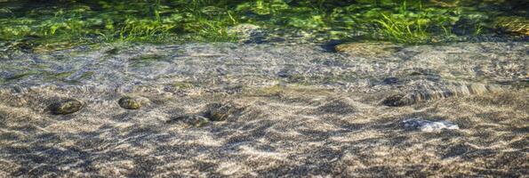 Clear streams gently flow over rocky riverbed with lush greenery photo