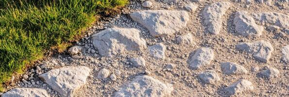 Rocky path with grass border under sunlight capturing texture and nature elements photo