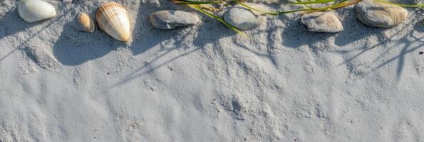 Coastal shells and pebbles on sandy beach with natural textures and shadows photo