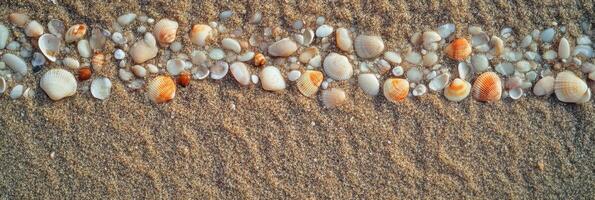Line of seashells arranged on sandy beach with textured background photo