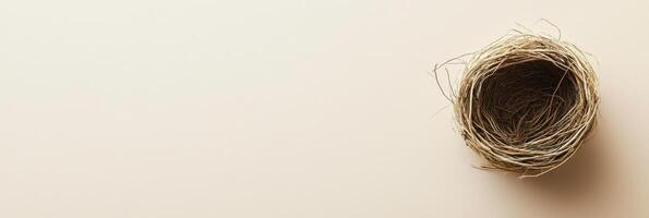 Empty bird nest on beige surface symbolizing nature and wildlife concepts photo