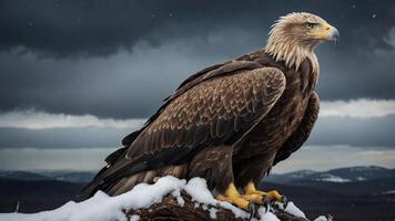A majestic eagle perched on a snowy log under a dramatic sky. photo