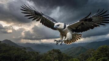 A majestic bird of prey soaring against a dramatic stormy sky over mountainous terrain. photo