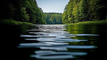Serene Lake View Tranquil Water Reflecting Lush Green Forest Landscape photo